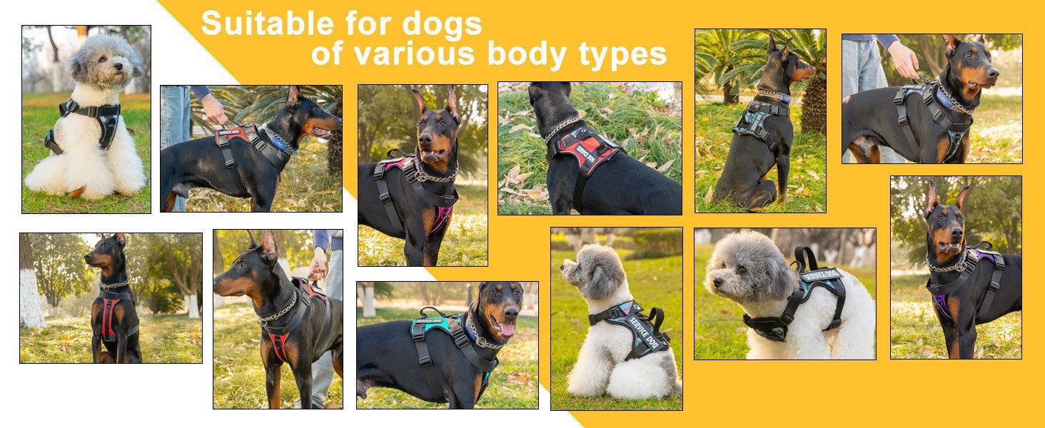 AyalaPet No-Pull Dog Harness and Leash Set - Reflective Adjustable Pet Vest for Small Medium Large Dogs - Escape-Proof Walking Gear in 4 Colors & 4 Sizes