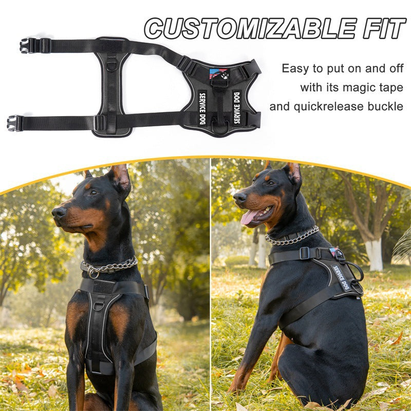 AyalaPet No-Pull Dog Harness and Leash Set - Reflective Adjustable Pet Vest for Small Medium Large Dogs - Escape-Proof Walking Gear in 4 Colors & 4 Sizes