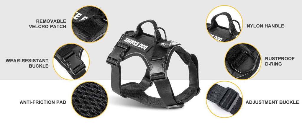AyalaPet No-Pull Dog Harness and Leash Set - Reflective Adjustable Pet Vest for Small Medium Large Dogs - Escape-Proof Walking Gear in 4 Colors & 4 Sizes