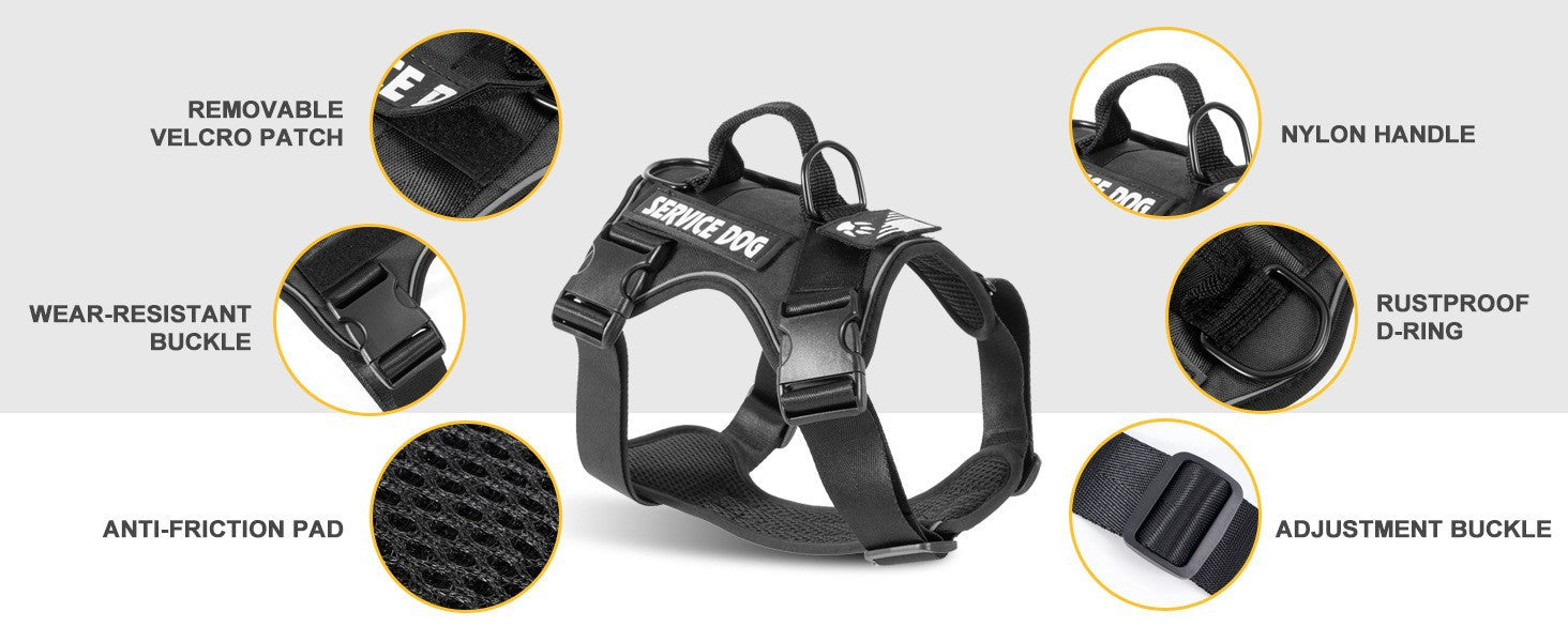 AyalaPet No-Pull Dog Harness and Leash Set - Reflective Adjustable Pet Vest for Small Medium Large Dogs - Escape-Proof Walking Gear in 4 Colors & 4 Sizes