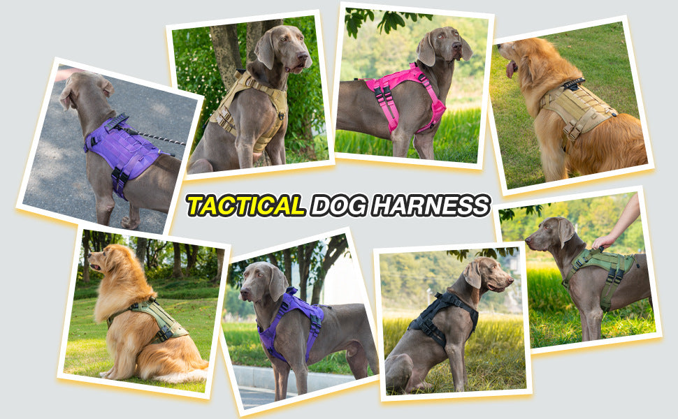 AyalaPet No-Pull Dog Harness and Leash Set - Reflective Adjustable Pet Vest for Small Medium Large Dogs - Escape-Proof Walking Gear (5 Colors & 3 Sizes)