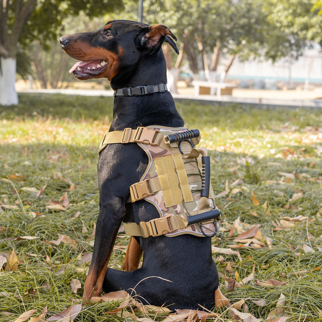 AyalaPet No-Pull Dog Harness Reflective Adjustable Pet Vest for Small Medium Large Dogs - Breathable Soft Mesh Walking Harness in 4 Colors & 3 Sizes 999#