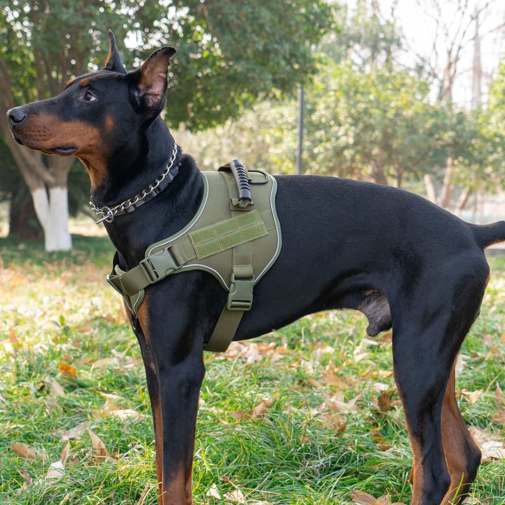 AyalaPet Tactical Dog Harness No-Pull - Heavy Duty Pet Vest with Handle - Adjustable Reflective Escape-Proof Harness for Small, Medium & Large Dogs